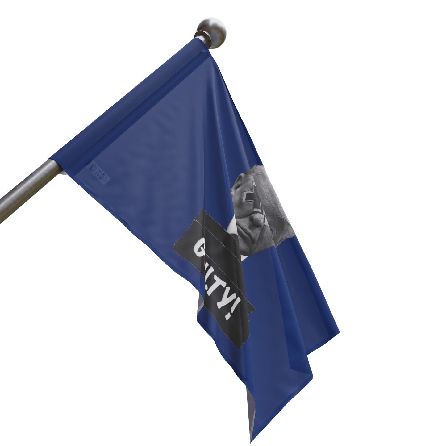 Trump Guilty Blue Flag