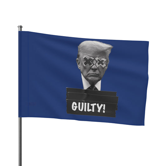 Trump Guilty Blue Flag