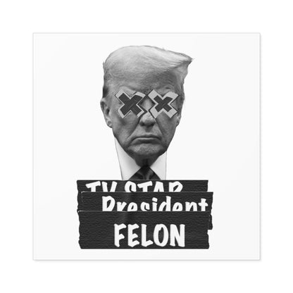 Trump is a Felon. Water Resistant Sticker